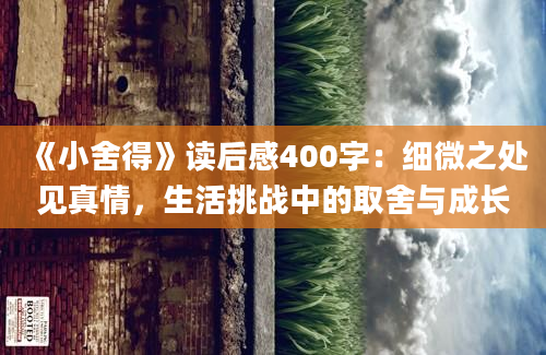 《小舍得》读后感400字：细微之处见真情，生活挑战中的取舍与成长