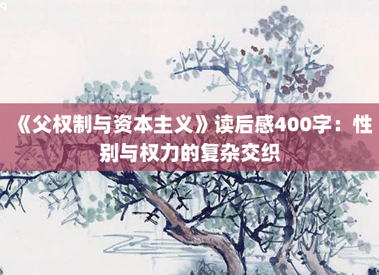 《父权制与资本主义》读后感400字：性别与权力的复杂交织