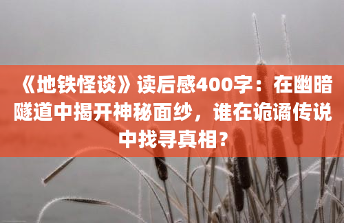 《地铁怪谈》读后感400字：在幽暗隧道中揭开神秘面纱，谁在诡谲传说中找寻真相？