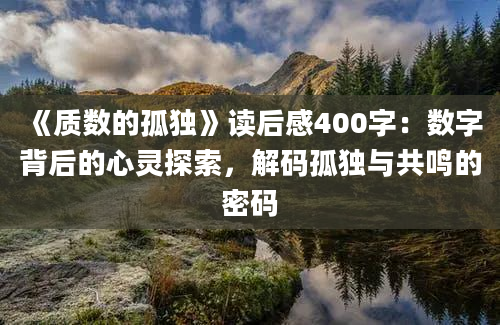 《质数的孤独》读后感400字：数字背后的心灵探索，解码孤独与共鸣的密码