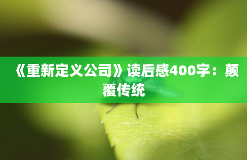 《重新定义公司》读后感400字：颠覆传统