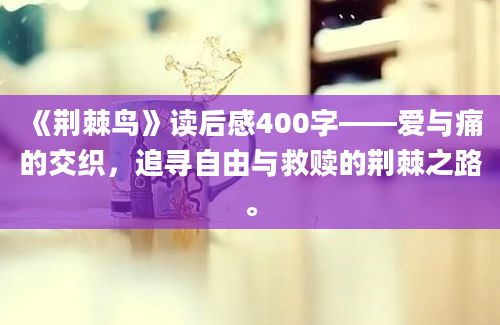 《荆棘鸟》读后感400字——爱与痛的交织，追寻自由与救赎的荆棘之路。