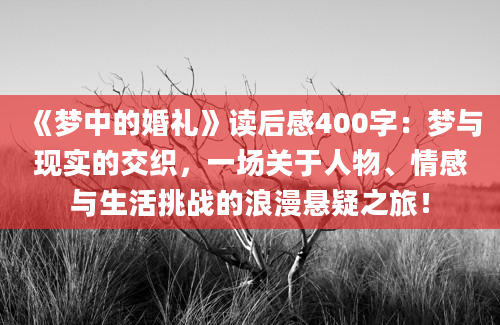 《梦中的婚礼》读后感400字：梦与现实的交织，一场关于人物、情感与生活挑战的浪漫悬疑之旅！