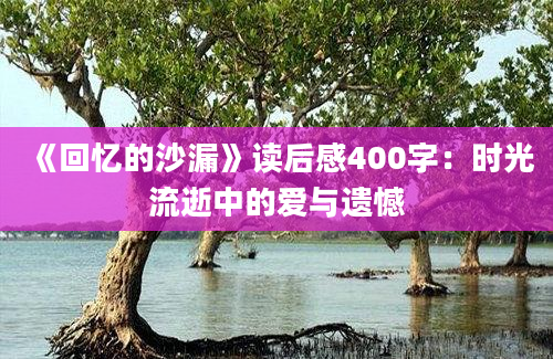 《回忆的沙漏》读后感400字：时光流逝中的爱与遗憾