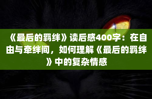 《最后的羁绊》读后感400字：在自由与牵绊间，如何理解《最后的羁绊》中的复杂情感