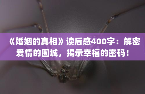 《婚姻的真相》读后感400字：解密爱情的围城，揭示幸福的密码！