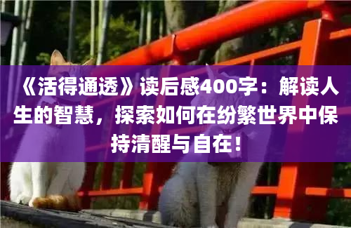 《活得通透》读后感400字：解读人生的智慧，探索如何在纷繁世界中保持清醒与自在！