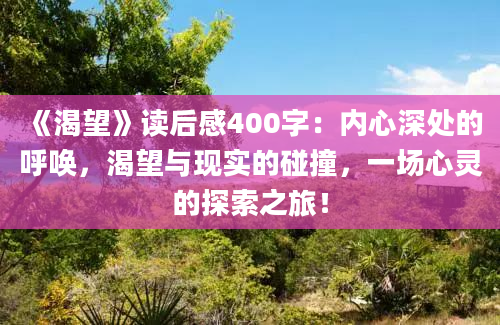 《渴望》读后感400字：内心深处的呼唤，渴望与现实的碰撞，一场心灵的探索之旅！