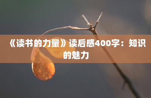 《读书的力量》<a href=https://www.baixuetang.com target=_blank class=infotextkey>读后感</a>400字：知识的魅力