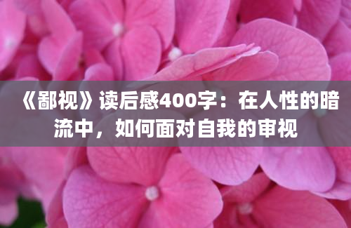 《鄙视》读后感400字：在人性的暗流中，如何面对自我的审视