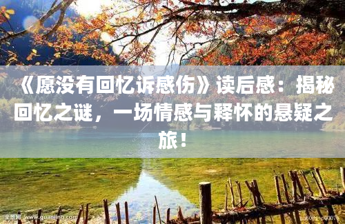 《愿没有回忆诉感伤》读后感：揭秘回忆之谜，一场情感与释怀的悬疑之旅！