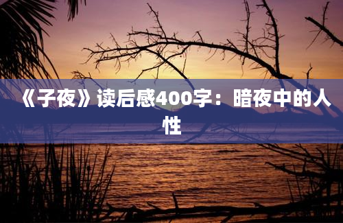 《子夜》读后感400字：暗夜中的人性