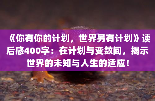 《你有你的计划，世界另有计划》读后感400字：在计划与变数间，揭示世界的未知与人生的适应！