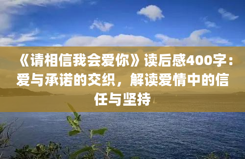 《请相信我会爱你》读后感400字：爱与承诺的交织，解读爱情中的信任与坚持