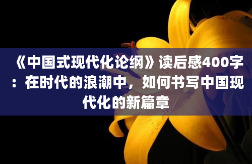 《中国式现代化论纲》读后感400字：在时代的浪潮中，如何书写中国现代化的新篇章