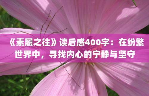 《素履之往》<a href=https://www.baixuetang.com target=_blank class=infotextkey>读后感</a>400字：在纷繁世界中，寻找内心的宁静与坚守