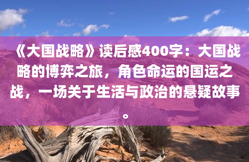 《大国战略》读后感400字：大国战略的博弈之旅，角色命运的国运之战，一场关于生活与政治的悬疑故事。