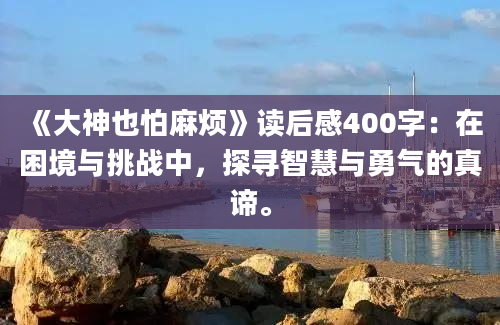 《大神也怕麻烦》读后感400字：在困境与挑战中，探寻智慧与勇气的真谛。