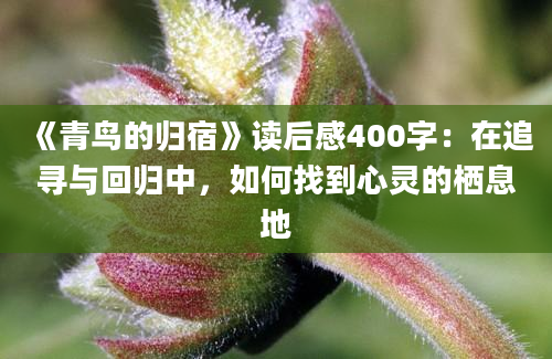 《青鸟的归宿》读后感400字：在追寻与回归中，如何找到心灵的栖息地