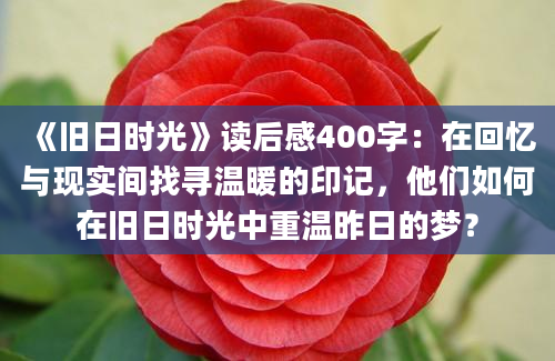 《旧日时光》读后感400字：在回忆与现实间找寻温暖的印记，他们如何在旧日时光中重温昨日的梦？