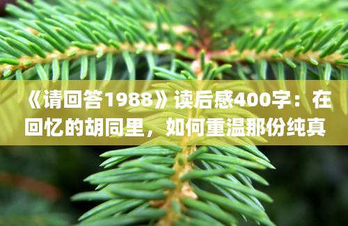 《请回答1988》读后感400字：在回忆的胡同里，如何重温那份纯真