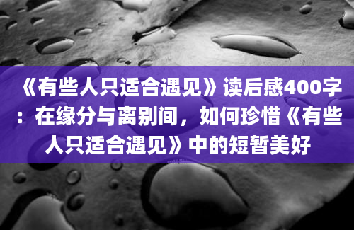 《有些人只适合遇见》读后感400字：在缘分与离别间，如何珍惜《有些人只适合遇见》中的短暂美好