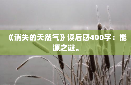 《消失的天然气》读后感400字：能源之谜。