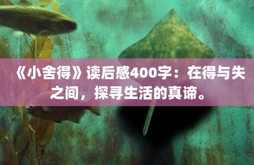 《小舍得》读后感400字：在得与失之间，探寻生活的真谛。