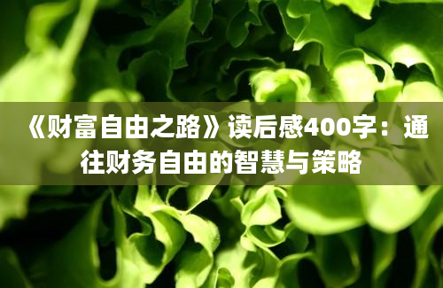 《财富自由之路》读后感400字：通往财务自由的智慧与策略