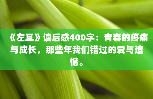 《左耳》读后感400字：青春的疼痛与成长，那些年我们错过的爱与遗憾。