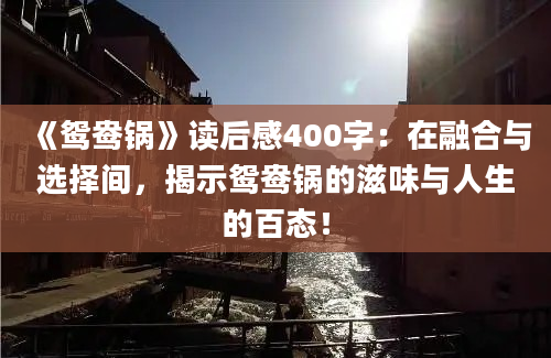 《鸳鸯锅》读后感400字：在融合与选择间，揭示鸳鸯锅的滋味与人生的百态！