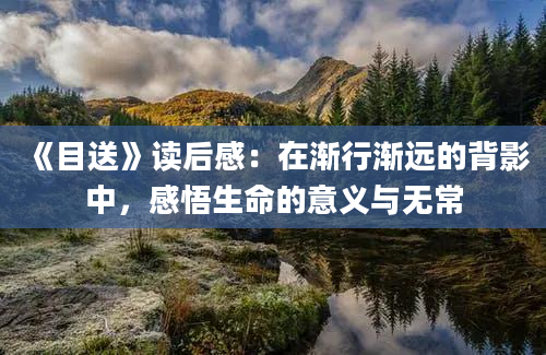 《目送》读后感：在渐行渐远的背影中，感悟生命的意义与无常