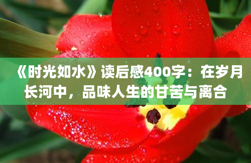 《时光如水》读后感400字：在岁月长河中，品味人生的甘苦与离合