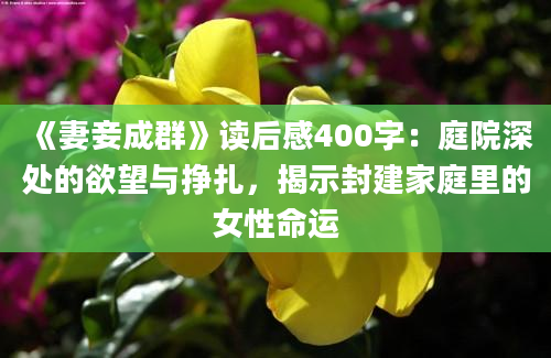 《妻妾成群》读后感400字：庭院深处的欲望与挣扎，揭示封建家庭里的女性命运