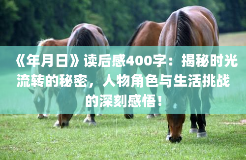 《年月日》读后感400字：揭秘时光流转的秘密，人物角色与生活挑战的深刻感悟！