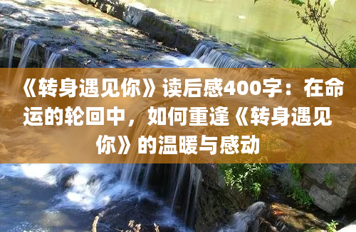 《转身遇见你》读后感400字：在命运的轮回中，如何重逢《转身遇见你》的温暖与感动