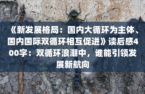 《新发展格局：国内大循环为主体、国内国际双循环相互促进》读后感400字：双循环浪潮中，谁能引领发展新航向