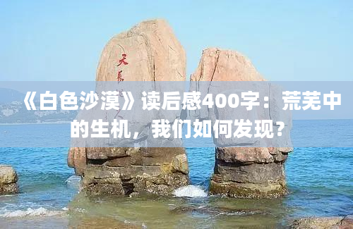 《白色沙漠》读后感400字：荒芜中的生机，我们如何发现？