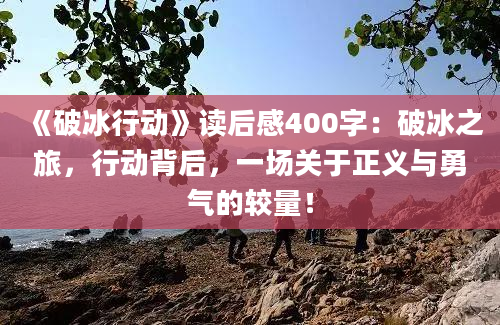 《破冰行动》读后感400字：破冰之旅，行动背后，一场关于正义与勇气的较量！