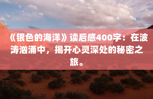 《银色的海洋》读后感400字：在波涛汹涌中，揭开心灵深处的秘密之旅。