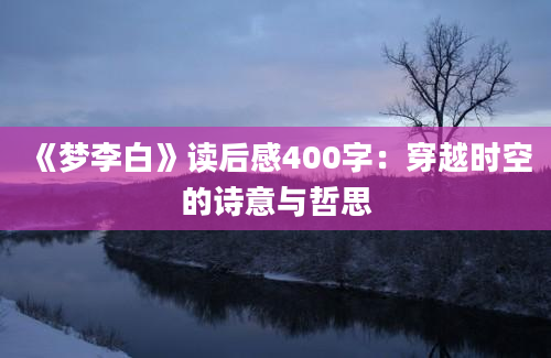 《梦李白》读后感400字：穿越时空的诗意与哲思