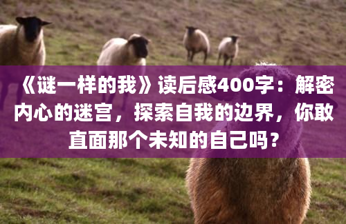 《谜一样的我》读后感400字：解密内心的迷宫，探索自我的边界，你敢直面那个未知的自己吗？