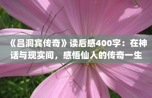 《吕洞宾传奇》读后感400字：在神话与现实间，感悟仙人的传奇一生