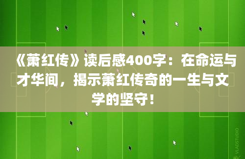 《萧红传》读后感400字：在命运与才华间，揭示萧红传奇的一生与文学的坚守！