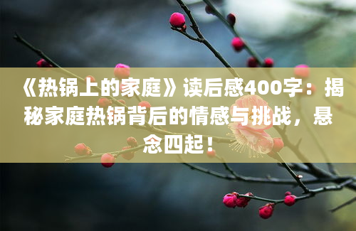 《热锅上的家庭》读后感400字：揭秘家庭热锅背后的情感与挑战，悬念四起！