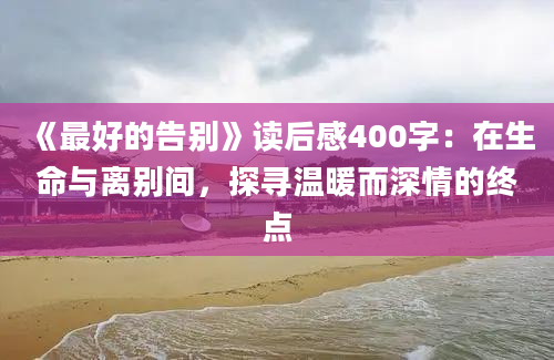 《最好的告别》读后感400字：在生命与离别间，探寻温暖而深情的终点