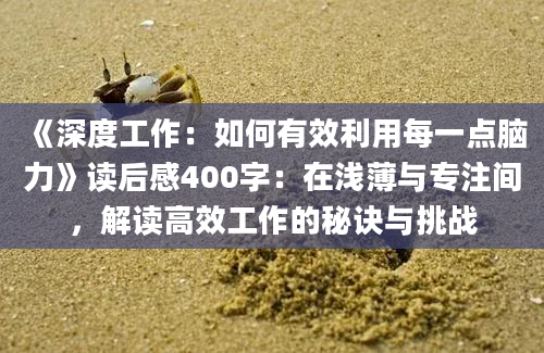 《深度工作：如何有效利用每一点脑力》读后感400字：在浅薄与专注间，解读高效工作的秘诀与挑战