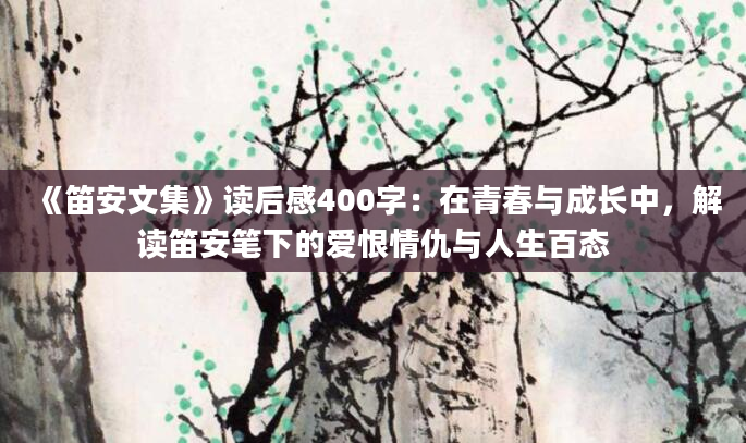 《笛安文集》读后感400字：在青春与成长中，解读笛安笔下的爱恨情仇与人生百态