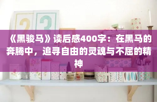 《黑骏马》读后感400字：在黑马的奔腾中，追寻自由的灵魂与不屈的精神