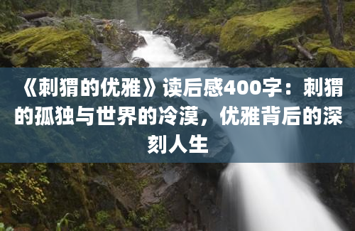 《刺猬的优雅》读后感400字：刺猬的孤独与世界的冷漠，优雅背后的深刻人生